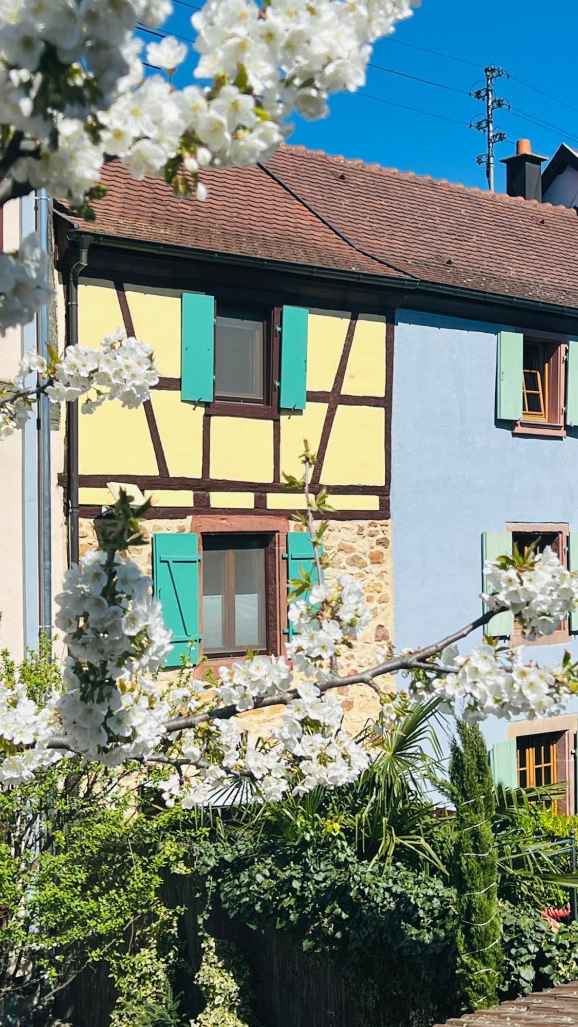 Gite Le Coq Rouge Eguisheim Exterior foto